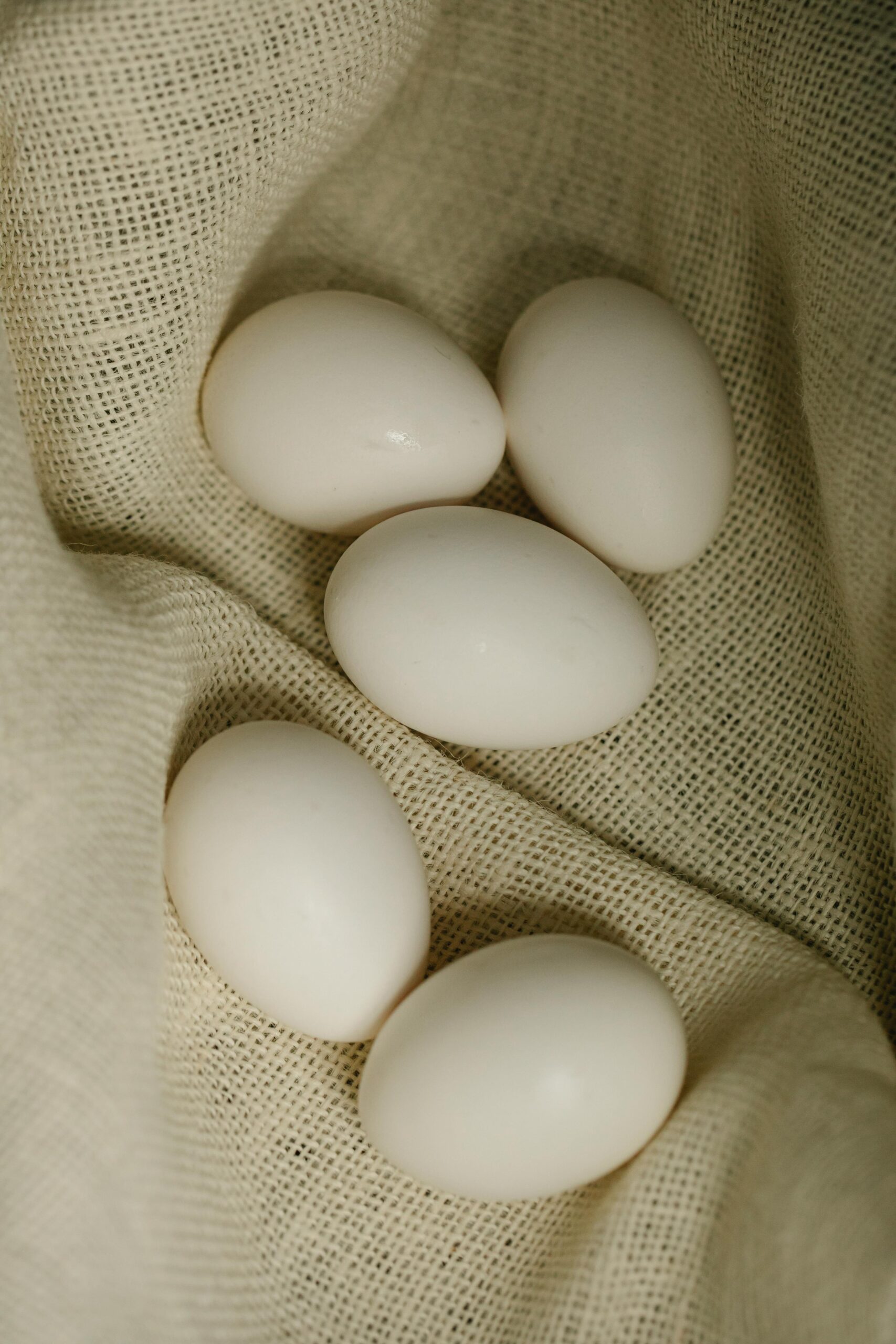egg freezing